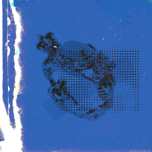 玩弄jaPen白女嫩少妇HD四川搡BB
