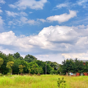 玩弄jaPen白女嫩少妇HD四川搡BB
